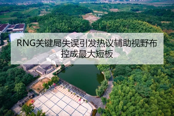 RNG关键局失误引发热议辅助视野布控成最大短板 | MANBETX